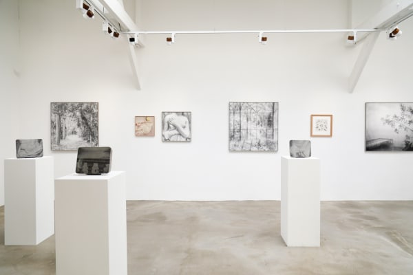 Les rêveries de Lavinia FLORE