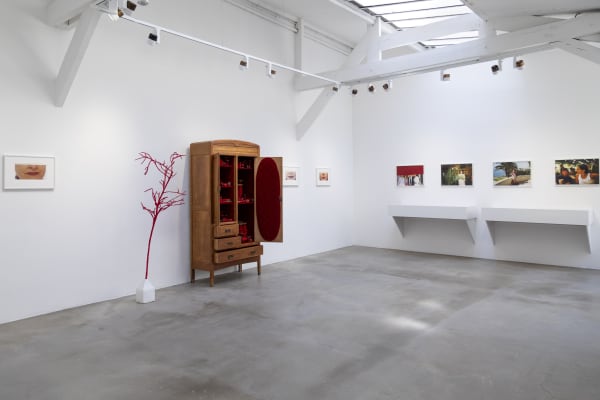 Broder le passé, tisser l'avenir Carolle Bénitah