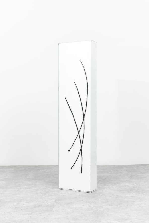 Pr6, styrofoam on acrylic, 40x25x170cm, 2022