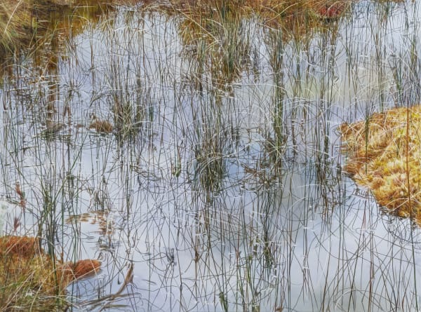 Untitled 4641, oil on canvas, 97x130.3cm, 2019-2021