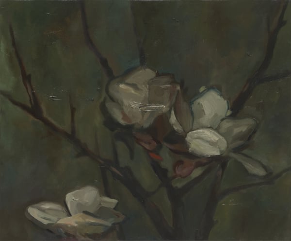 Magnolia, oil on canvas, 37.5x45.5cm, 2018