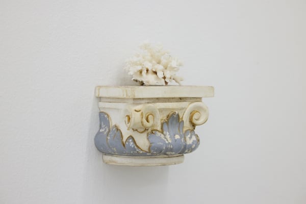 A Capital, 골동 장식위에 나영이 준 산호 Coral from Nayoung on vintage decor, 10×13×10cm, 2025