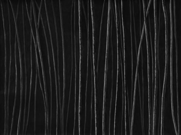 Untitled, charcoal on paper, 153 x 200 cm, 2025