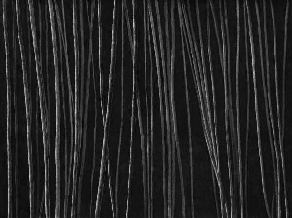 Untitled, charcoal on paper, 153 x 200 cm, 2025