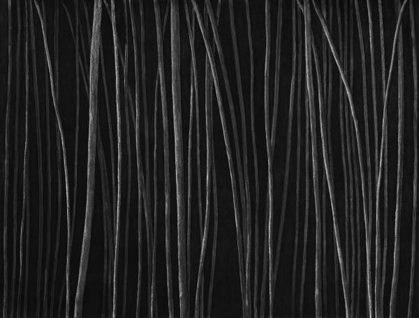 Untitled, charcoal on paper, 153 x 200 cm, 2025
