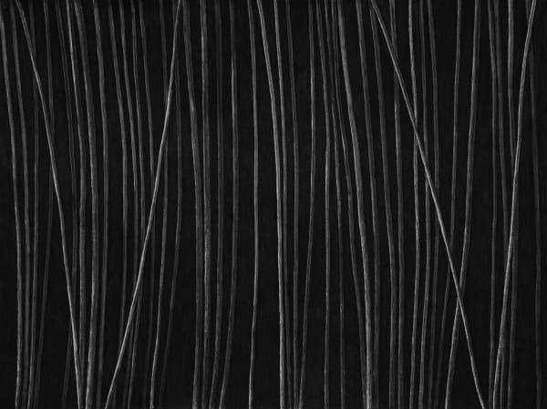 Untitled, charcoal on paper, 153 x 200 cm, 2025