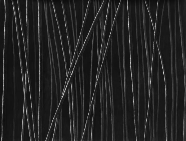 Untitled, charcoal on paper, 153 x 200 cm, 2025