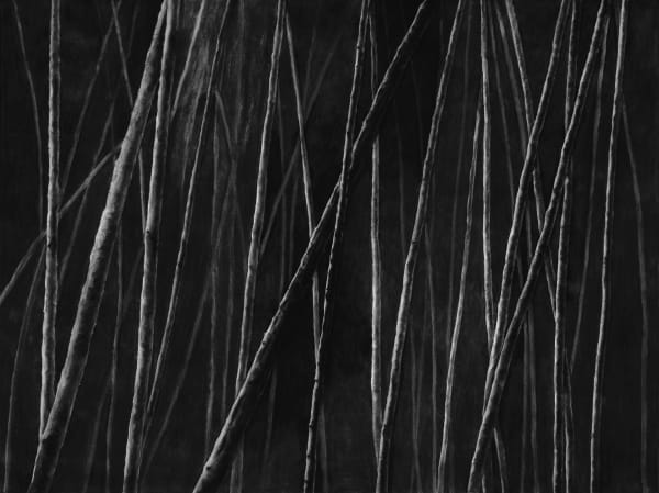 Untitled, charcoal on paper, 153 x 200 cm, 2025