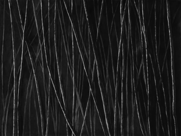 Untitled, charcoal on paper, 153 x 200 cm, 2025