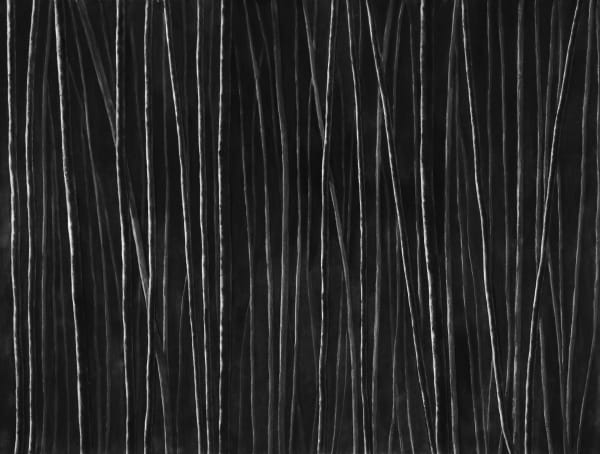 Untitled, charcoal on paper, 153 x 200 cm, 2025