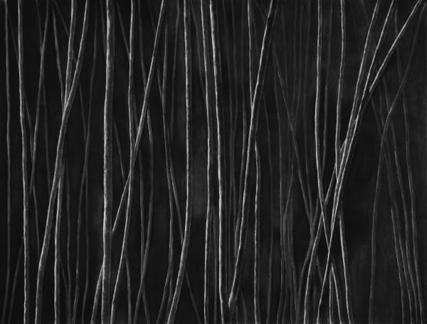 Untitled, charcoal on paper, 153 x 200 cm, 2025