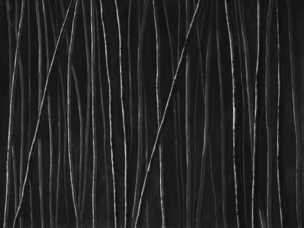 Untitled, charcoal on paper, 153 x 200 cm, 2025