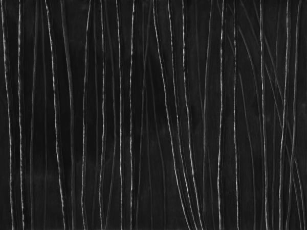 Untitled, charcoal on paper, 153 x 200 cm, 2025