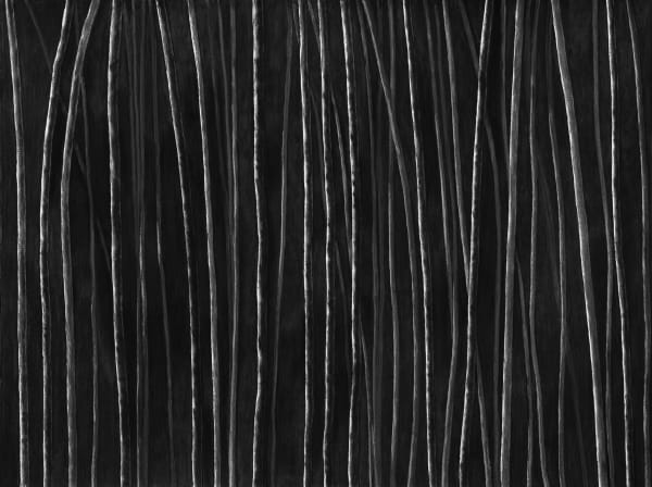 Untitled, charcoal on paper, 153 x 200 cm, 2025