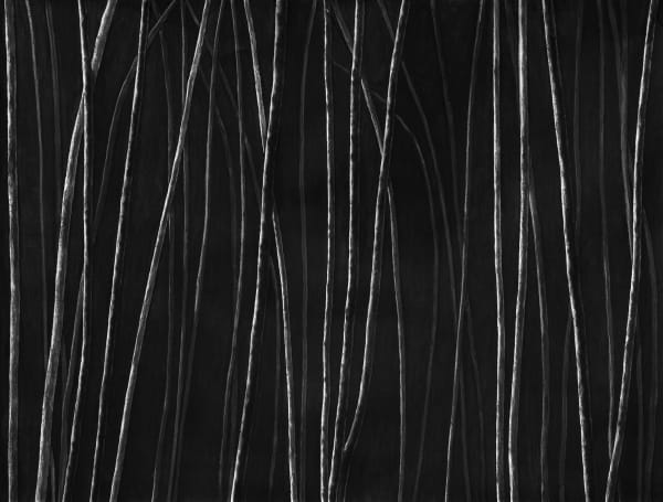 Untitled, charcoal on paper, 153 x 200 cm, 2025