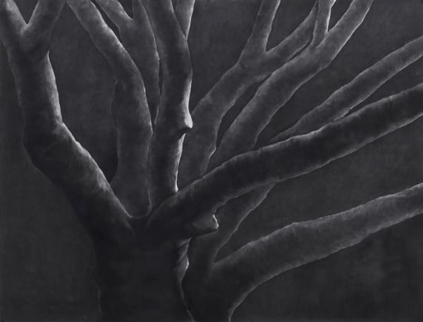 Untitled, charcoal on paper, 153 x 200 cm, 2025