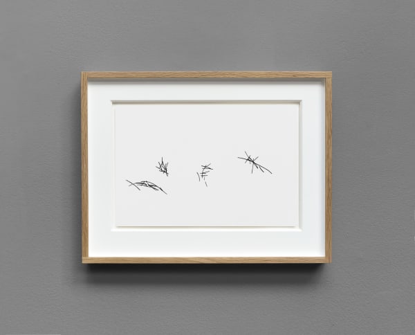 Charles March, Sandscript Series 2 XVIII, 2023-2025