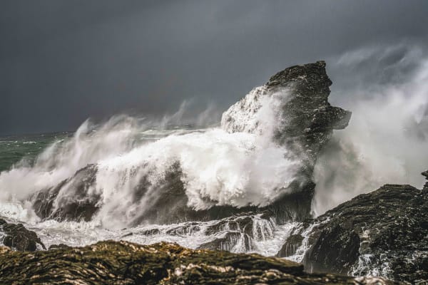 The Wave