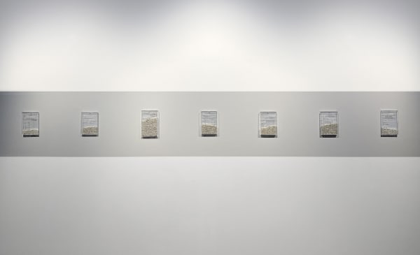 Anthology for Beginners, installation view