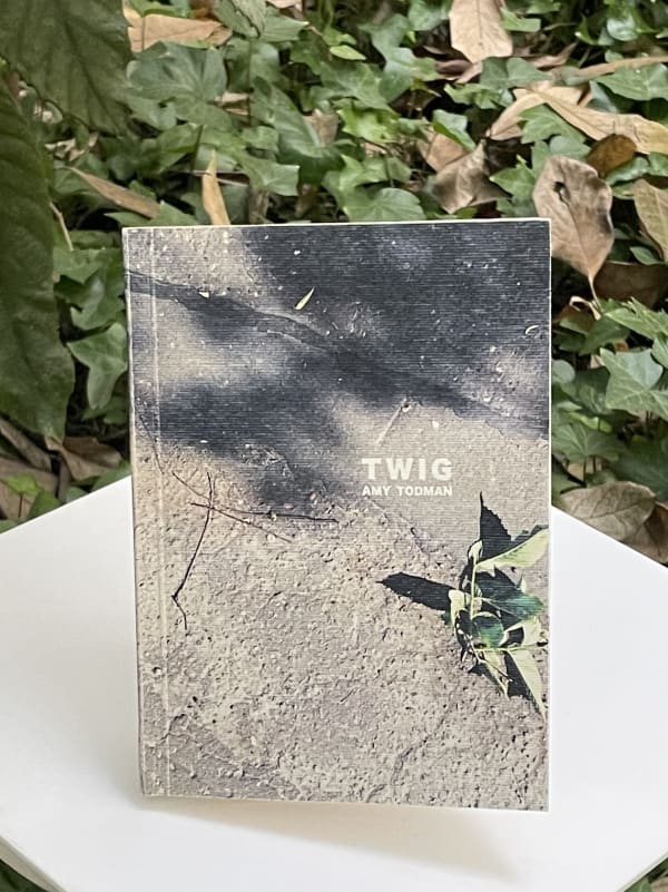 Amy Todman, Twig