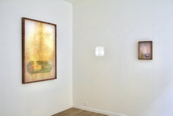 L Na B I Blue Filaments Exhibition View At Galerie Baq 2024 Paris France Photo By Emma 2