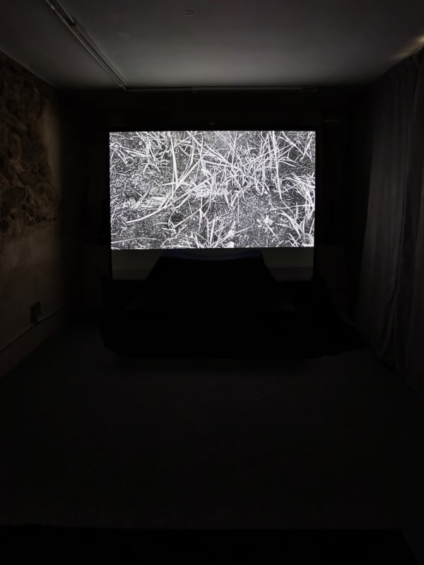 L Na B I Blue Filaments Exhibition View At Galerie Baq 2024 Paris France Photo Credit Le Thien Bao 2