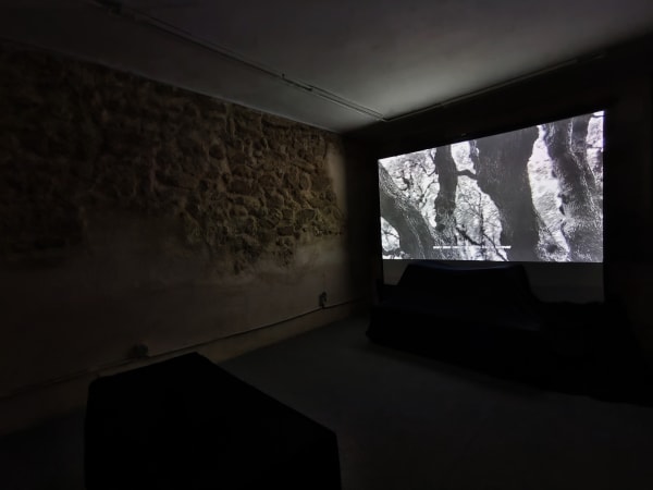 L Na B I Blue Filaments Exhibition View At Galerie Baq 2024 Paris France Photo Credit Le Thien Bao 3