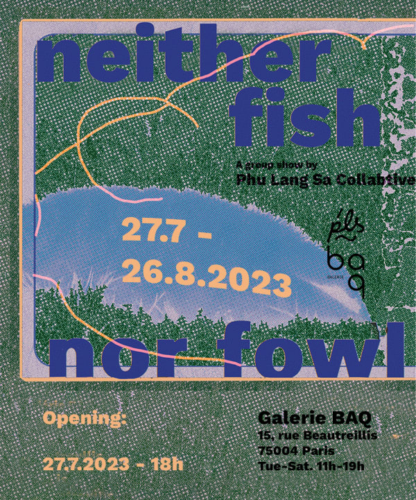 ni poisson ni chair | không ngan chẳng ngỗng