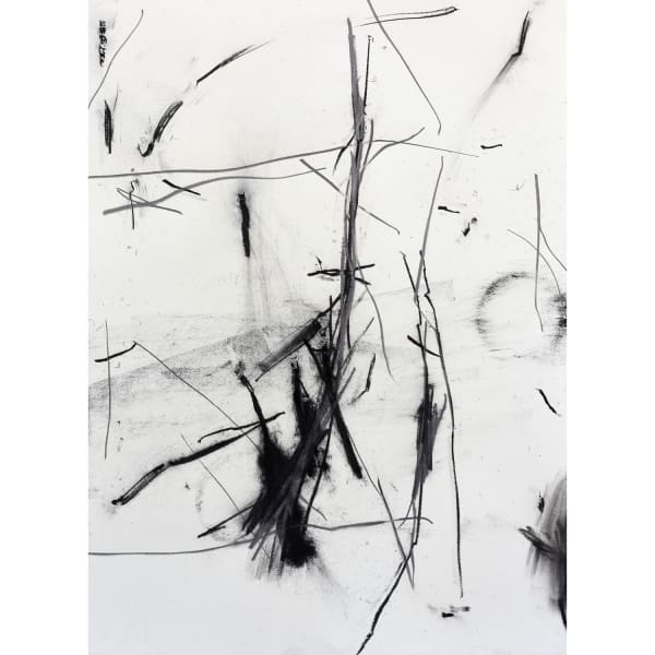 ARJAN JANSSEN, Down By The Sea (1), 2020