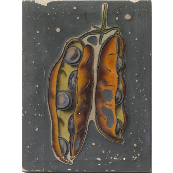 EWOUD VIANE, Velvet beans, 2023