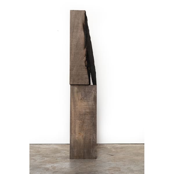 JO VAN RIJCKEGHEM, zonder titel, 2024