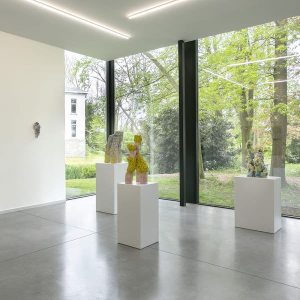 TAMARA VAN SAN confusion or wonder