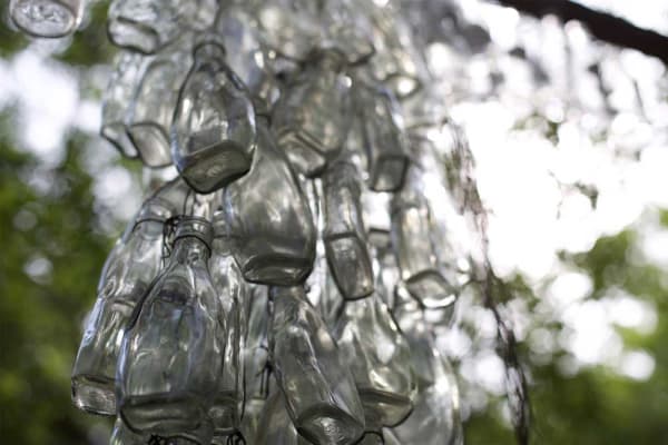 Gillian Strange Fruit Flesh Bulbs