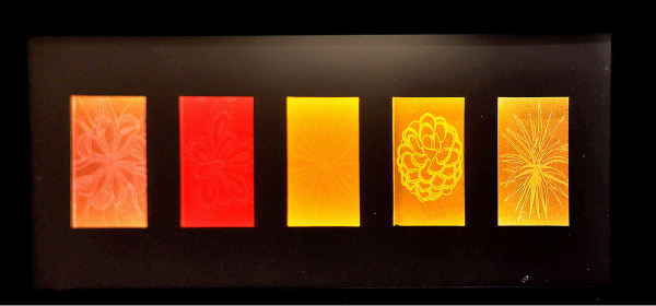 Delphine Buysse Carnivorous Plants 1