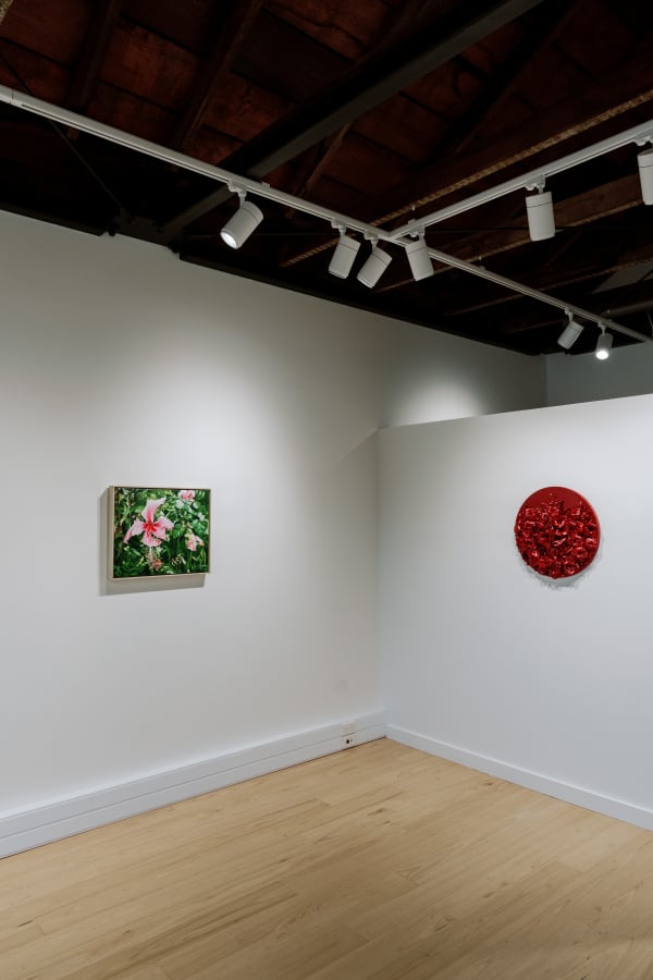 Our Mothers Hands 16