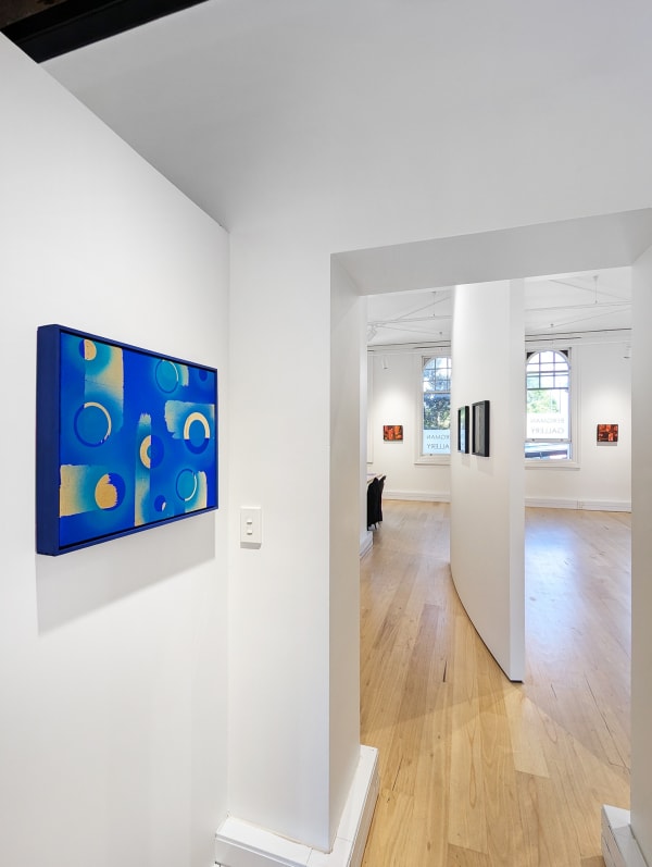 Nexus Installation 14