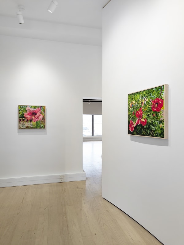 Held Between Moments Install 04