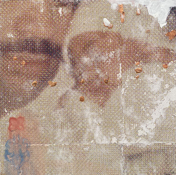 nasturtium, 2023