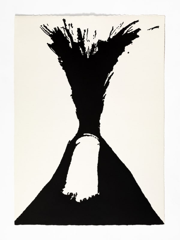 Vesuvi 53, 2011