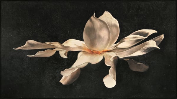 Dream Of The Southern Magnolia, 2017