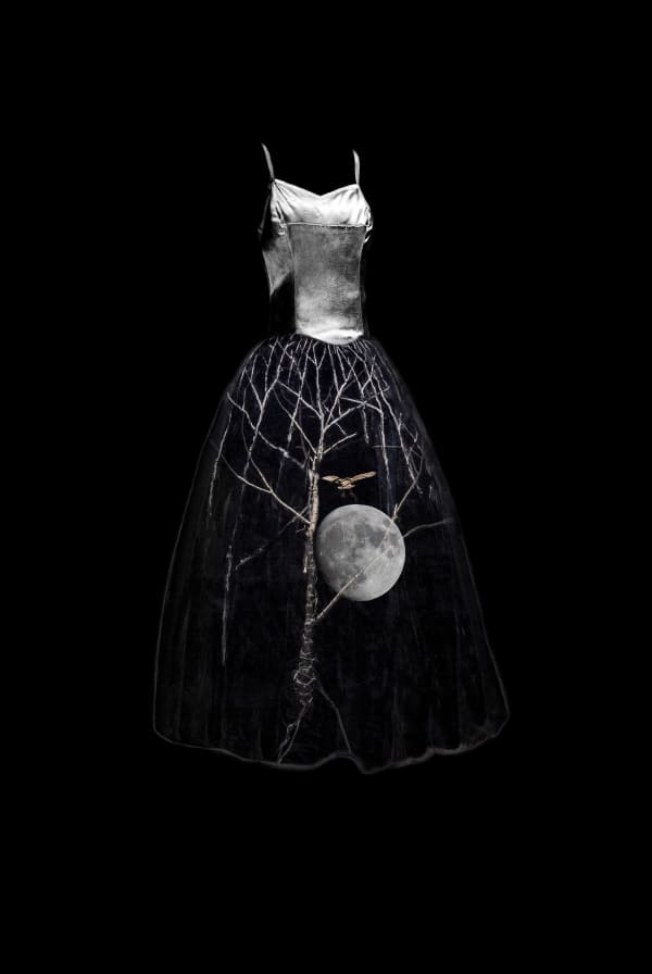 Owl and Moon, 2016