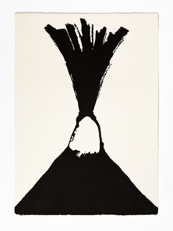 Vesuvi 45, 2011