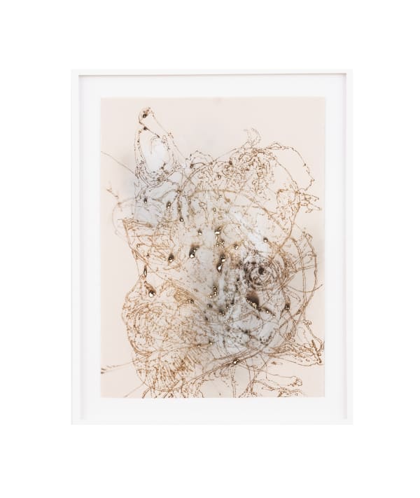 Jimmy O'Neal, DODOLACE, 2024