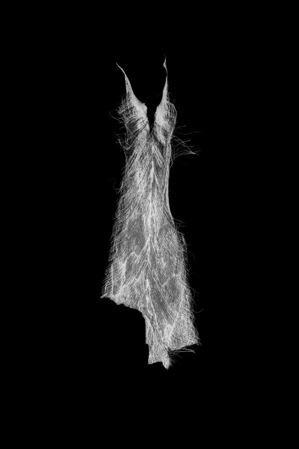 Untitled ( Negative Husk Dress ) , 2015
