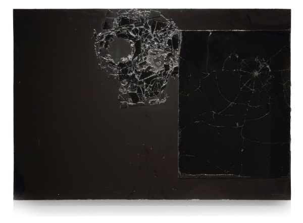No Regrets (For Johns and Mapplethorpe), 2024