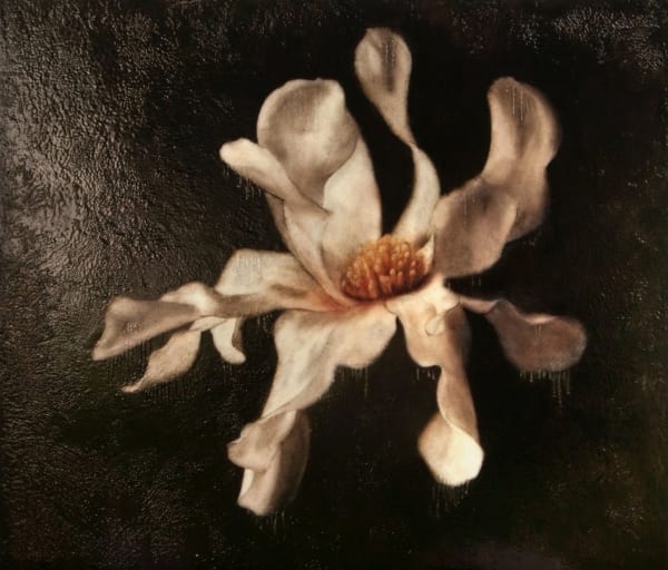 Star Magnolia , 2015