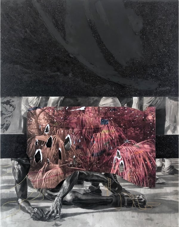 The Sea Urchin Can't Swim: Tales from the Edge of a World Cosmo Whyte