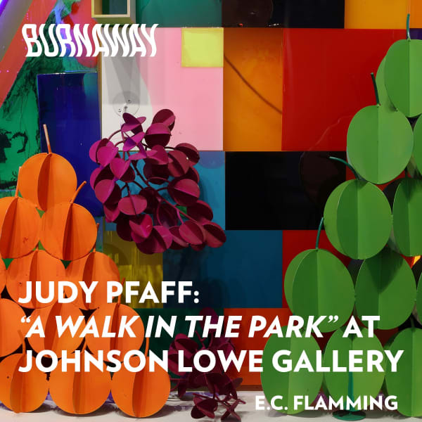 BURNAWAY | JUDY PFAFF: A Walk in the Park at Johnson Lowe