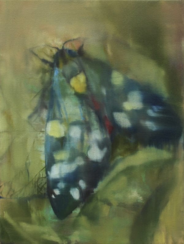Metamorphosis, 2024