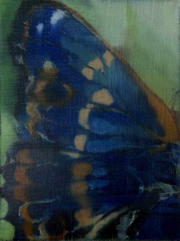 The Butterfly Effect (Study 1), 2025